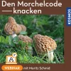 Den Morchelcode knacken – Morcheln systematisch suchen statt hoffen