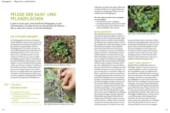 Der antiautoritäre Garten