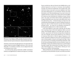 Der Elefant im Universum