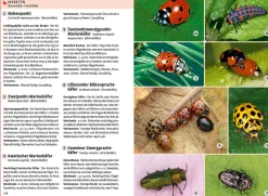 Der große Kosmos-Naturführer Tiere und Pflanzen