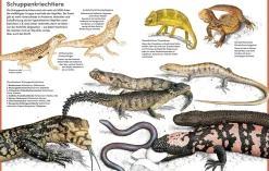 Der große Kosmos Tieratlas