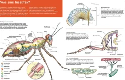 Der große Kosmos Tieratlas