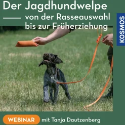 Der Jagdhundwelpe – Von der Rasseauswahl bis zur Früherziehung