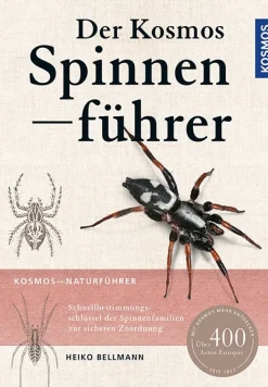 Der Kosmos Spinnenführer