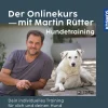 Der Onlinekurs mit Martin Rütter - Hundetraining