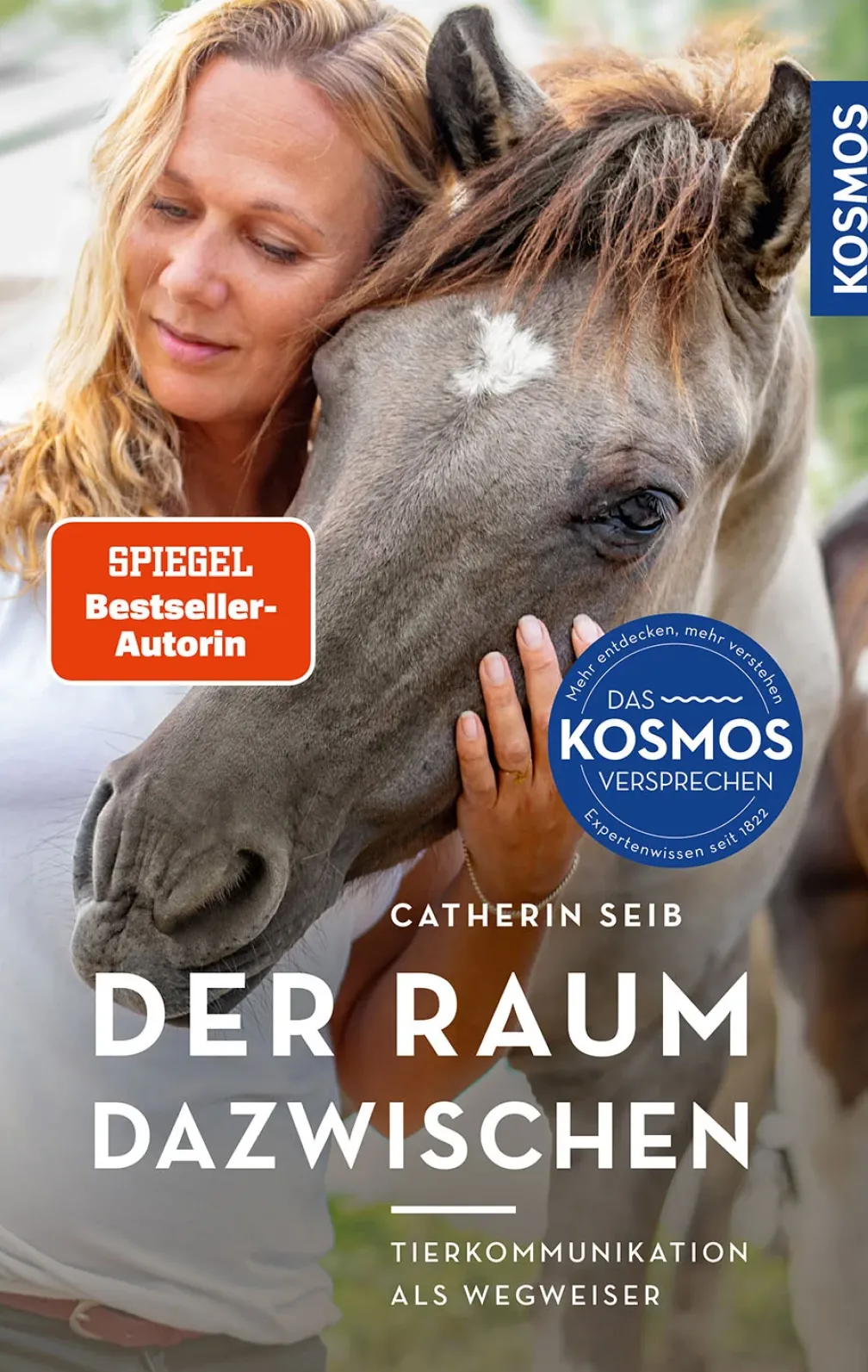 Der Raum dazwischen