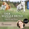 Der soziale Hund – Leben in zwei Welten