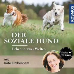 Der soziale Hund – Leben in zwei Welten