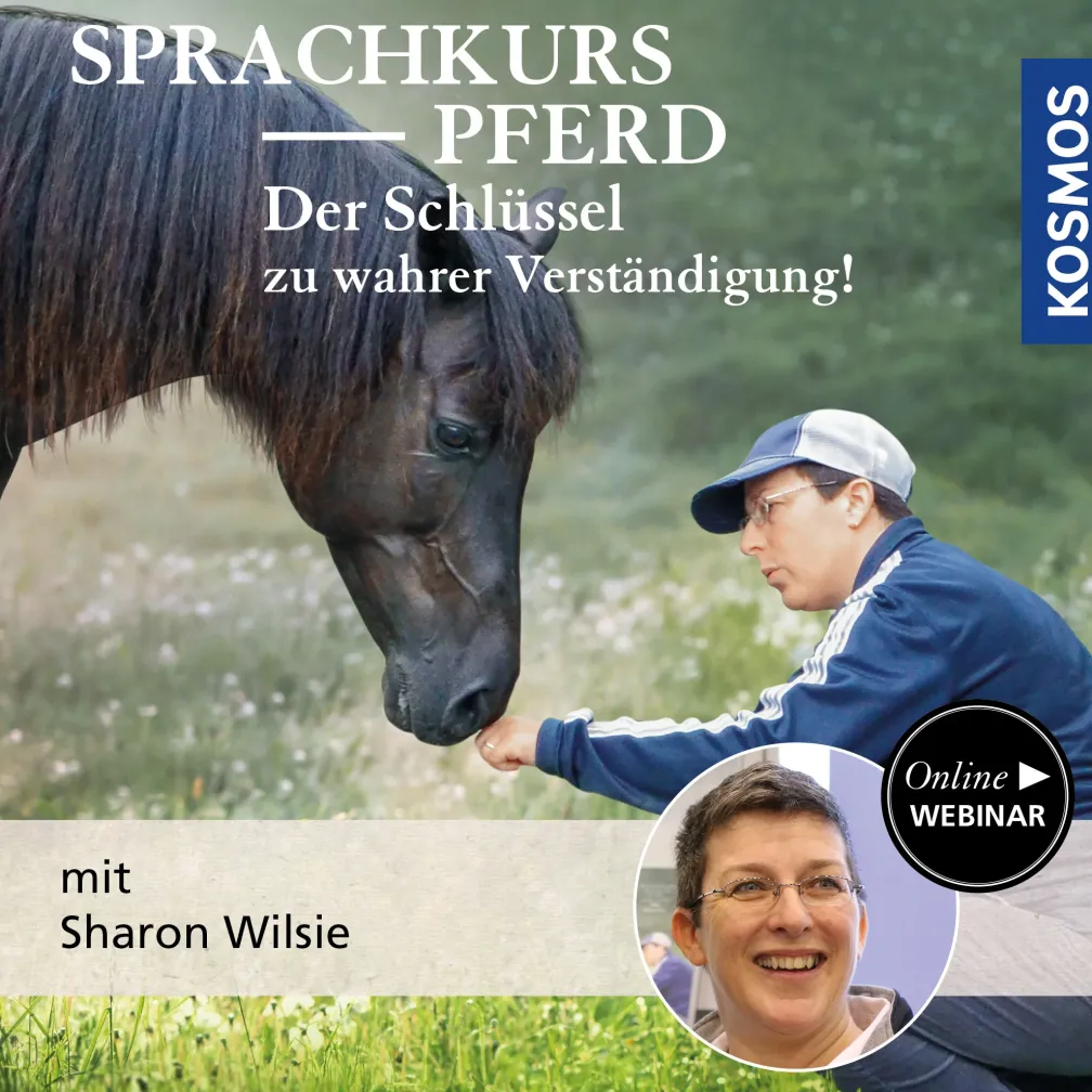 Der Sprachkurs Pferd – Der Schlüssel zu wahrer Verständigung!