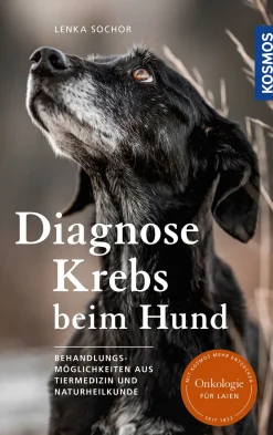 Diagnose Krebs beim Hund