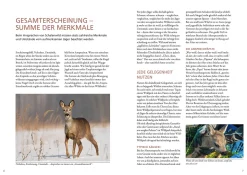 Die Altersansprache des Schalenwilds