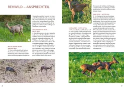 Die Altersansprache des Schalenwilds