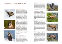 Die Altersansprache des Schalenwilds