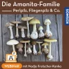Die Amanita-Familie – Perlpilz Fliegenpilz & Co.