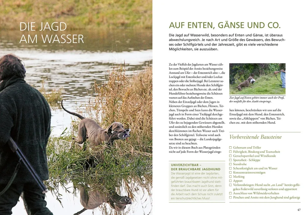 Die Ausbildung des Jagdhundes