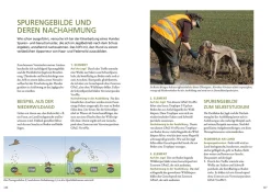 Die Ausbildung des Jagdhundes