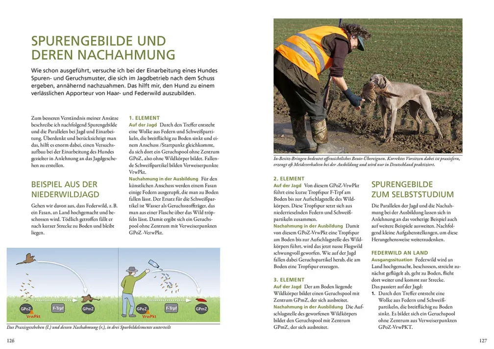 Die Ausbildung des Jagdhundes
