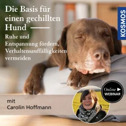 Die Basis für einen gechillten Hund – Ruhe und Entspannung fördern, Verhaltensauffälligkeiten vermeiden