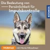 Die Bedeutung von Persönlichkeit für Impulskontrolle