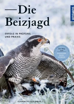 Die Beizjagd