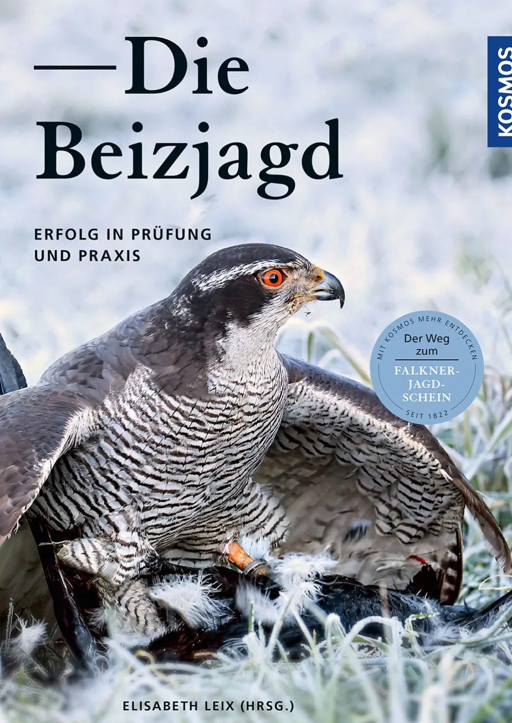 Die Beizjagd