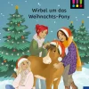 Die drei !!!, Bücherhelden 2. Klasse, Adventskalender, Wirbel um das Weihnachts-Pony