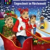 Die drei !!!, Eingeschneit im Märchenwald