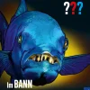 Die drei ??? Im Bann des Barrakudas
