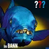 Die drei ??? Im Bann des Barrakudas
