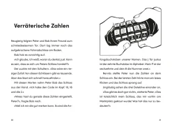 Die drei ??? Kids, 98, Die Geisterpferde