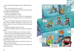 Die drei ??? Kids, Geheimnis um CubeMax