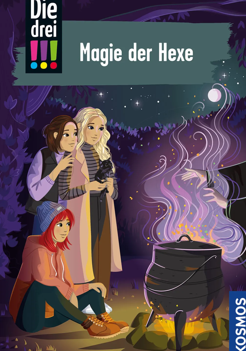 Die drei !!!, 113, Magie der Hexe