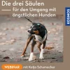 Die drei Säulen für den Umgang mit ängstlichen Hunden
