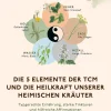 Die 5 Elemente der TCM und die Heilkraft unserer heimischen Kräuter