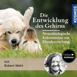 Die Entwicklung des Gehirns – Neurobiologische Erkenntnisse für die Hundeerziehung