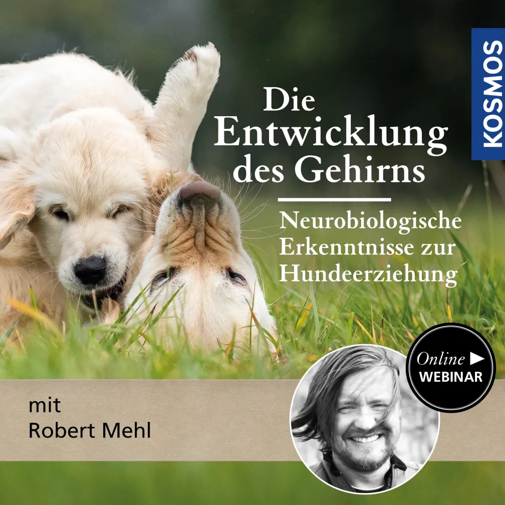Die Entwicklung des Gehirns – Neurobiologische Erkenntnisse für die Hundeerziehung