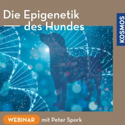 Die Epigenetik des Hundes
