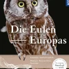 Die Eulen Europas