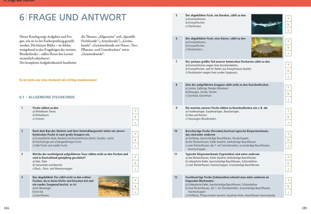 Die Fischerprüfung