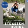 Die geheime Welt der Straßenhunde