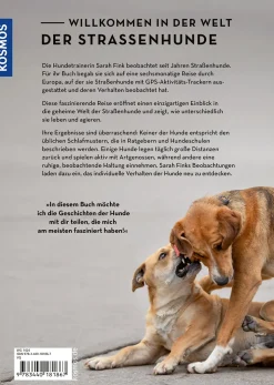Die geheime Welt der Straßenhunde
