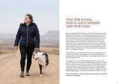 Die geheime Welt der Straßenhunde