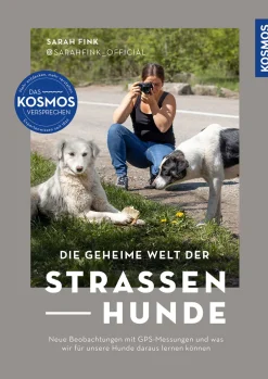 Die geheime Welt der Straßenhunde