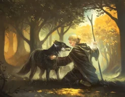 Die Legenden von Andor - Der Sternenschild