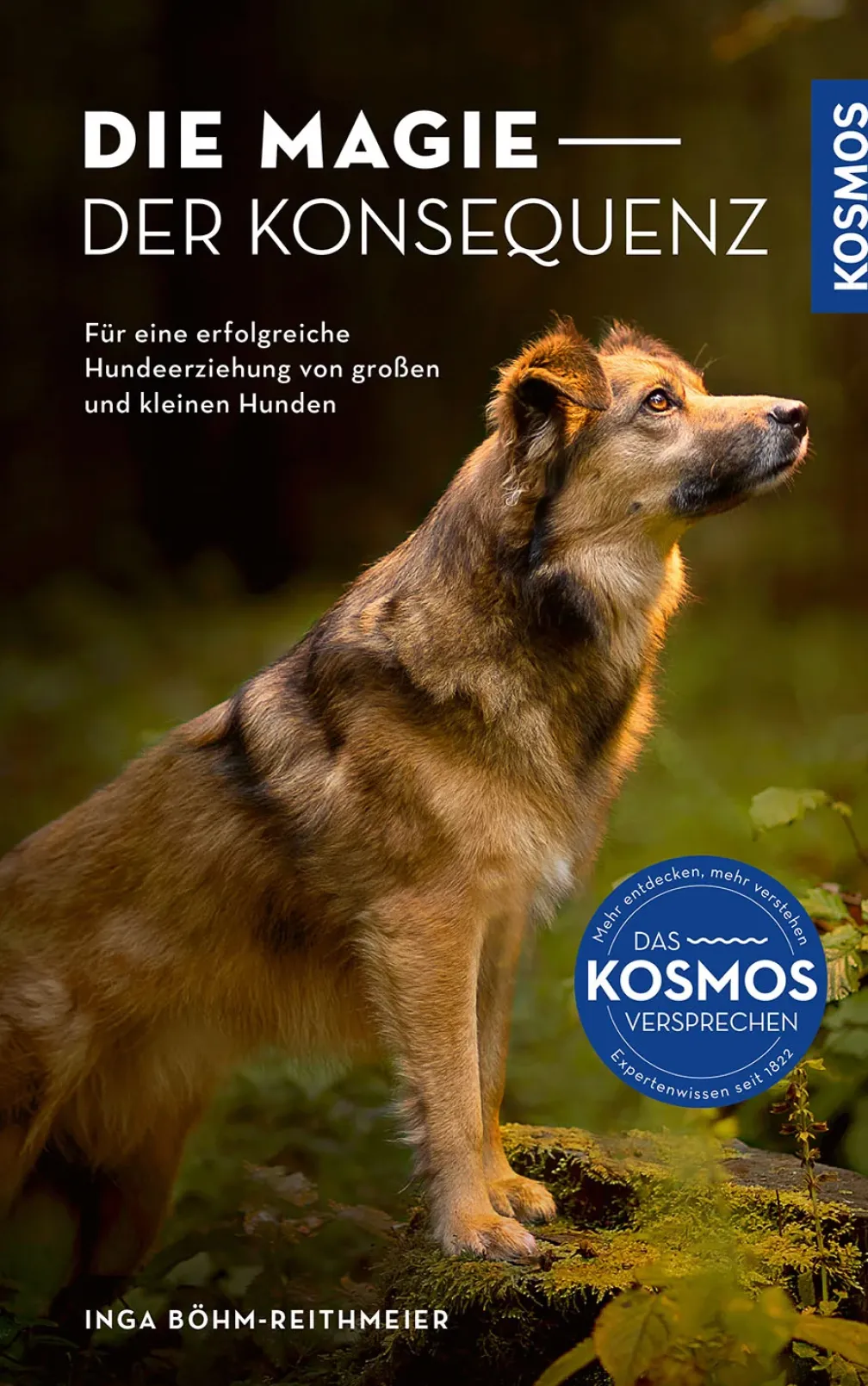 Die Magie der Konsequenz