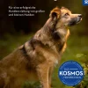 Die Magie der Konsequenz