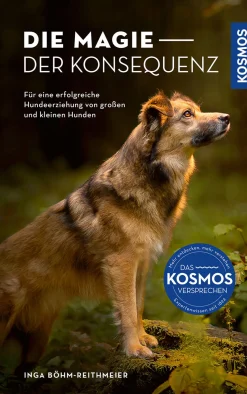 Die Magie der Konsequenz