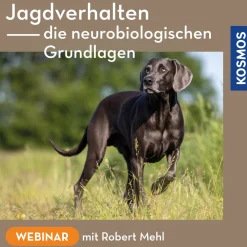 Die neurobiologischen Grundlagen von Jagdverhalten