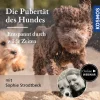 Die Pubertät des Hundes – Entspannt durch wilde Zeiten