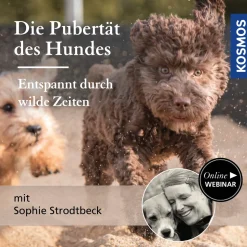 Die Pubertät des Hundes – Entspannt durch wilde Zeiten